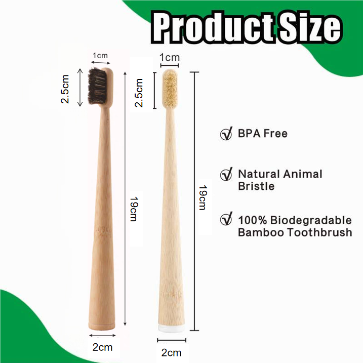 แปรงสีฟันขนหมูป่า/ขนม้าและไม้ไ - Bamboo Toothbrush Set บทวิจารณ์และราคา